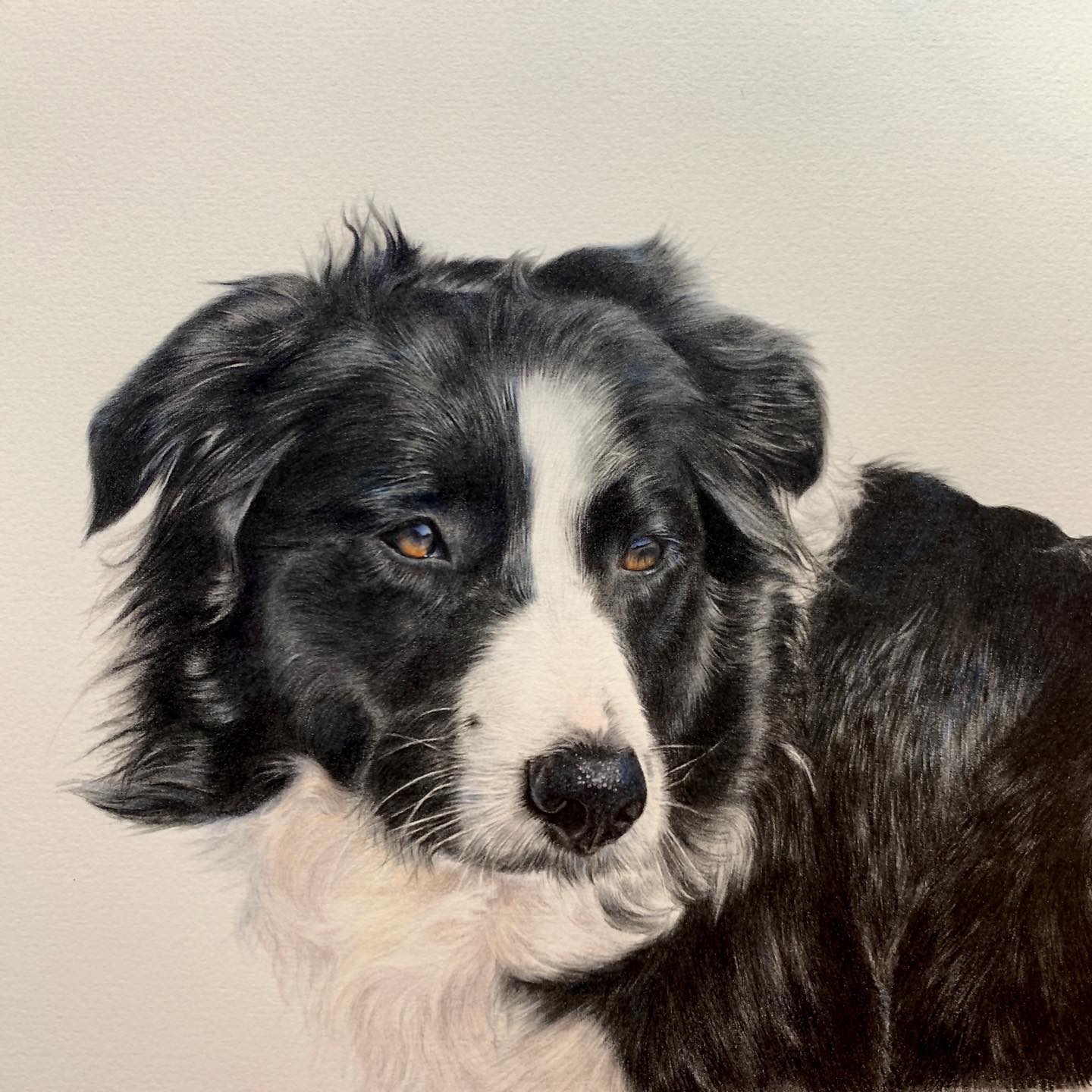 Sheep Dog Painting